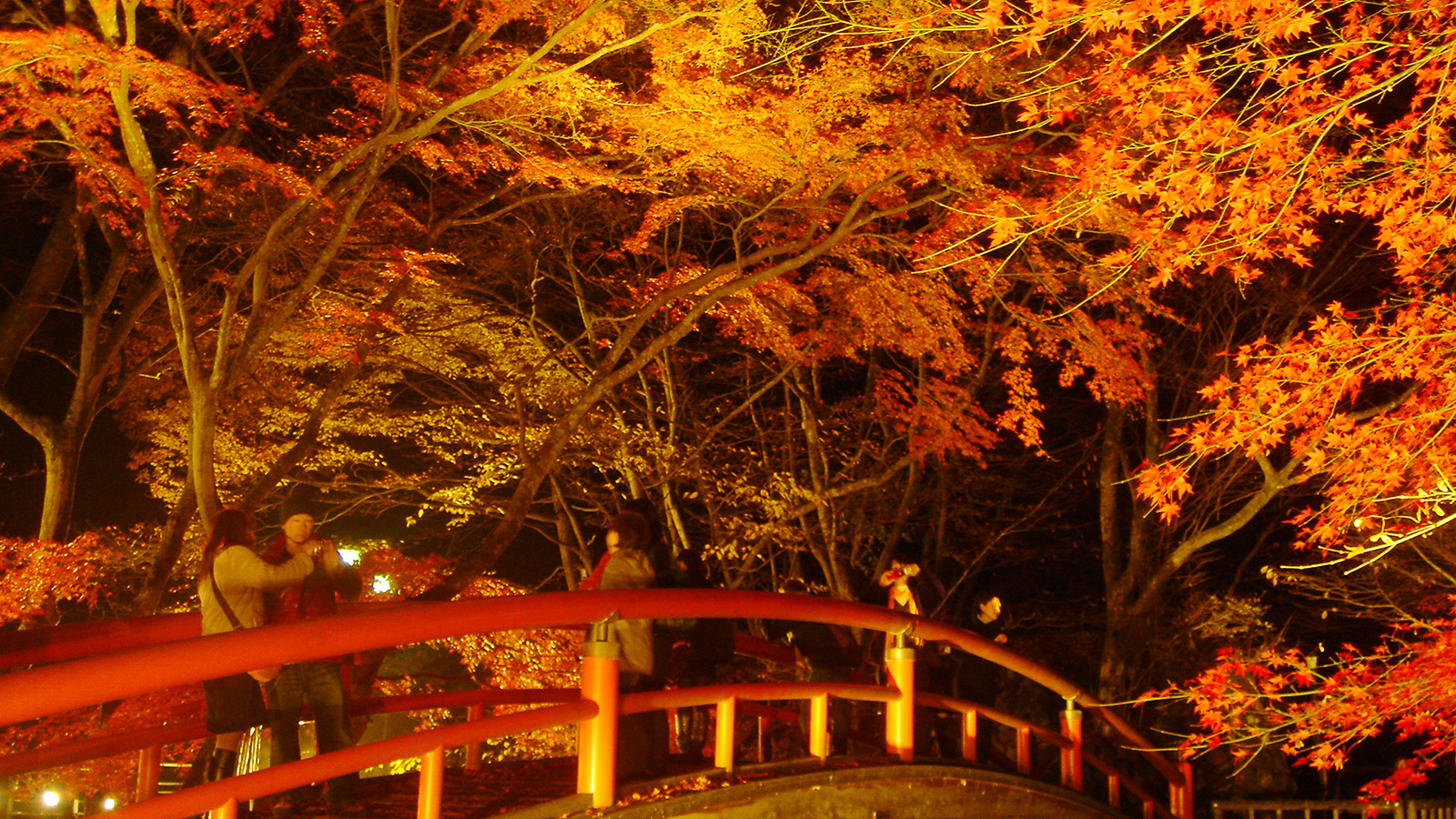 河鹿橋紅葉ライトアップ