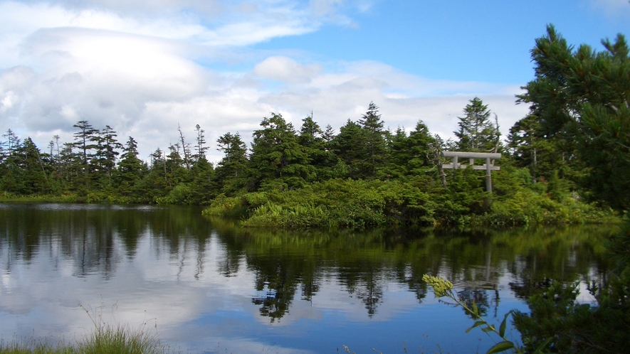 *稚児池／志賀高原一標高が高いひょうたん型の池。周辺では珍しい動植物を見ることができます。