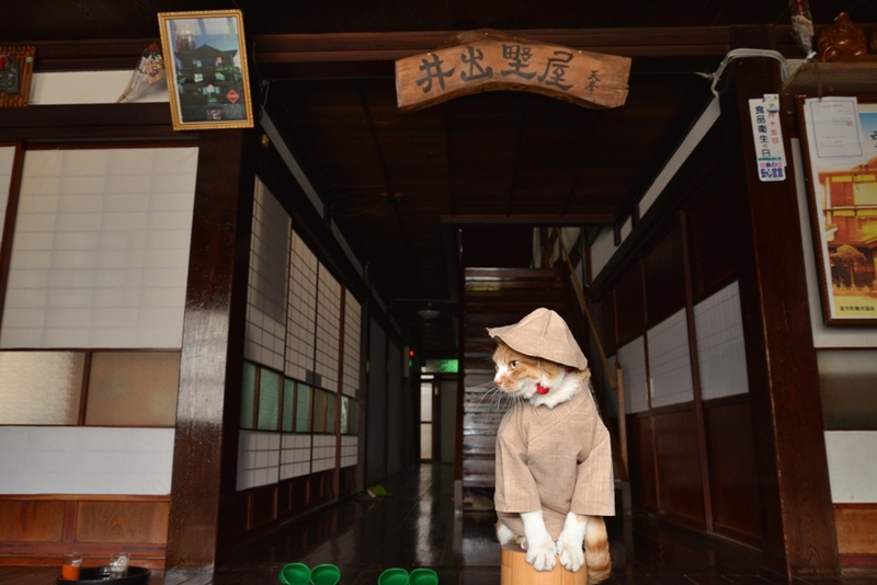井出野屋旅館 宿泊予約 楽天トラベル