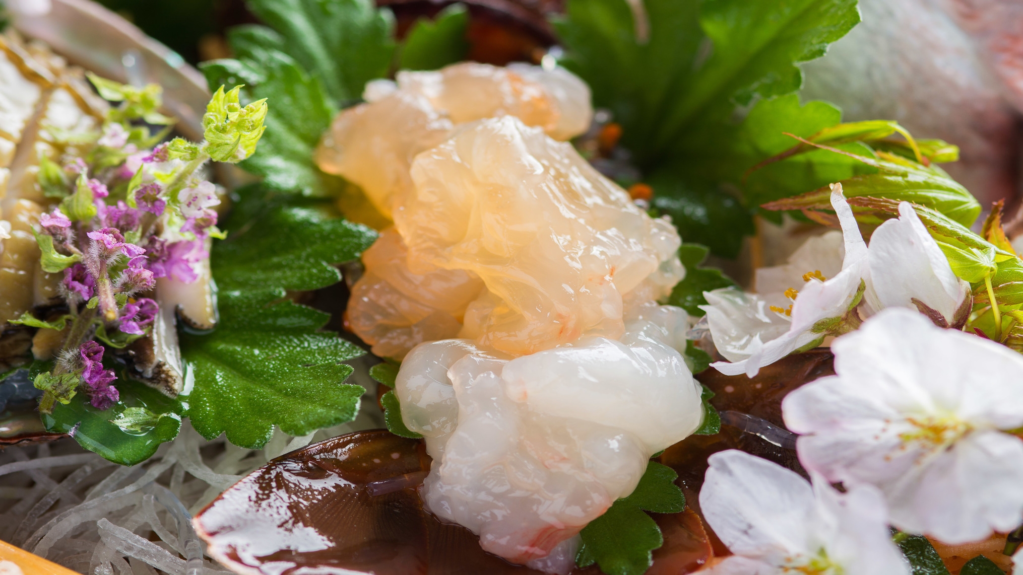 【特別日☆伊勢海老会席】まるっと伊勢海老１尾付！調理法を選べる＜貸切風呂無料＞＜オンライン決済限定＞