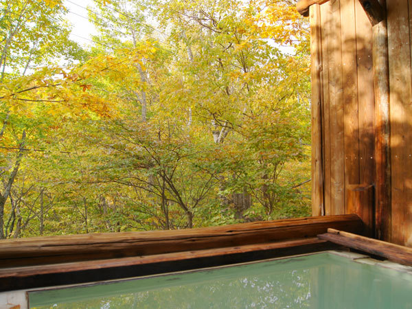 Autumn hot spring