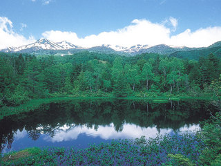 高原の風景