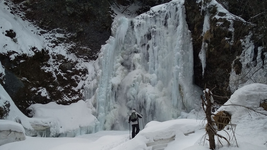 氷瀑した善五郎滝　スノーシューで冬も散策が楽しめます。