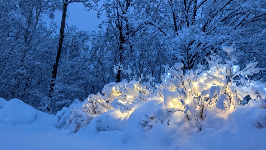 乗鞍の冬。スポットライトに照らされた雪が美しく輝きます