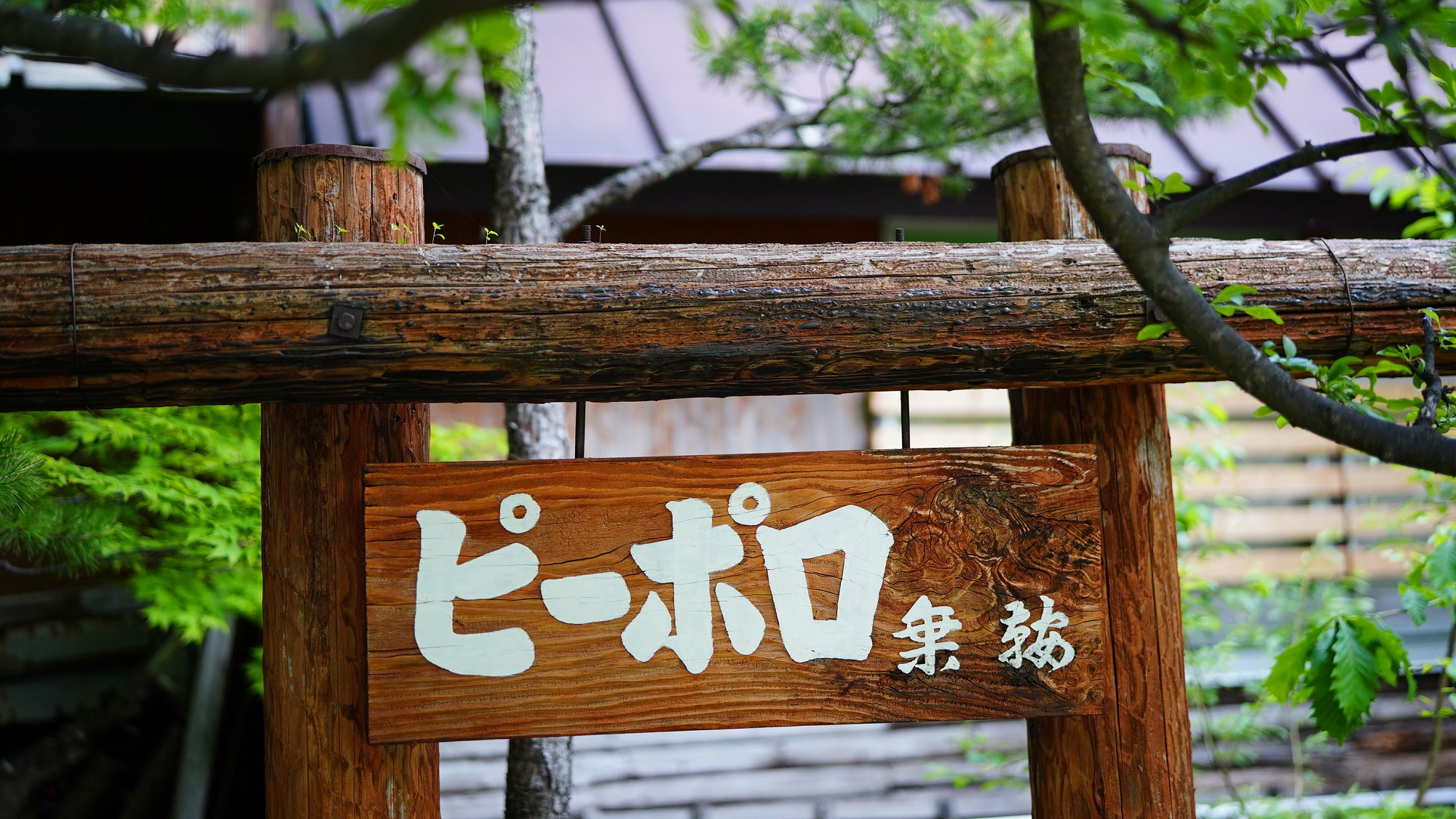 ピーポロ乗鞍へようこそ　中部山岳国立公園　信州のりくら温泉郷