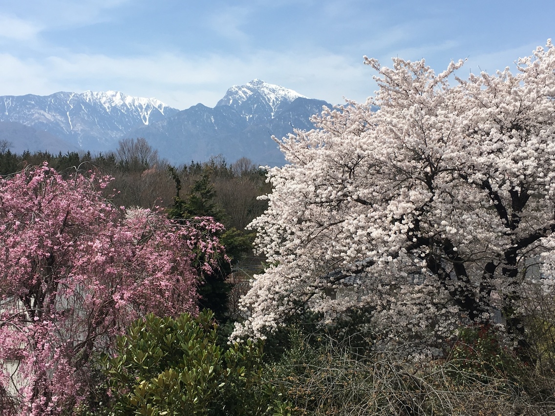 南アルプス北部連山、甲斐駒、八ヶ岳、富士山、奥秩父連峰景勝地　写生、写真、案内送迎無料　早春〜初夏編