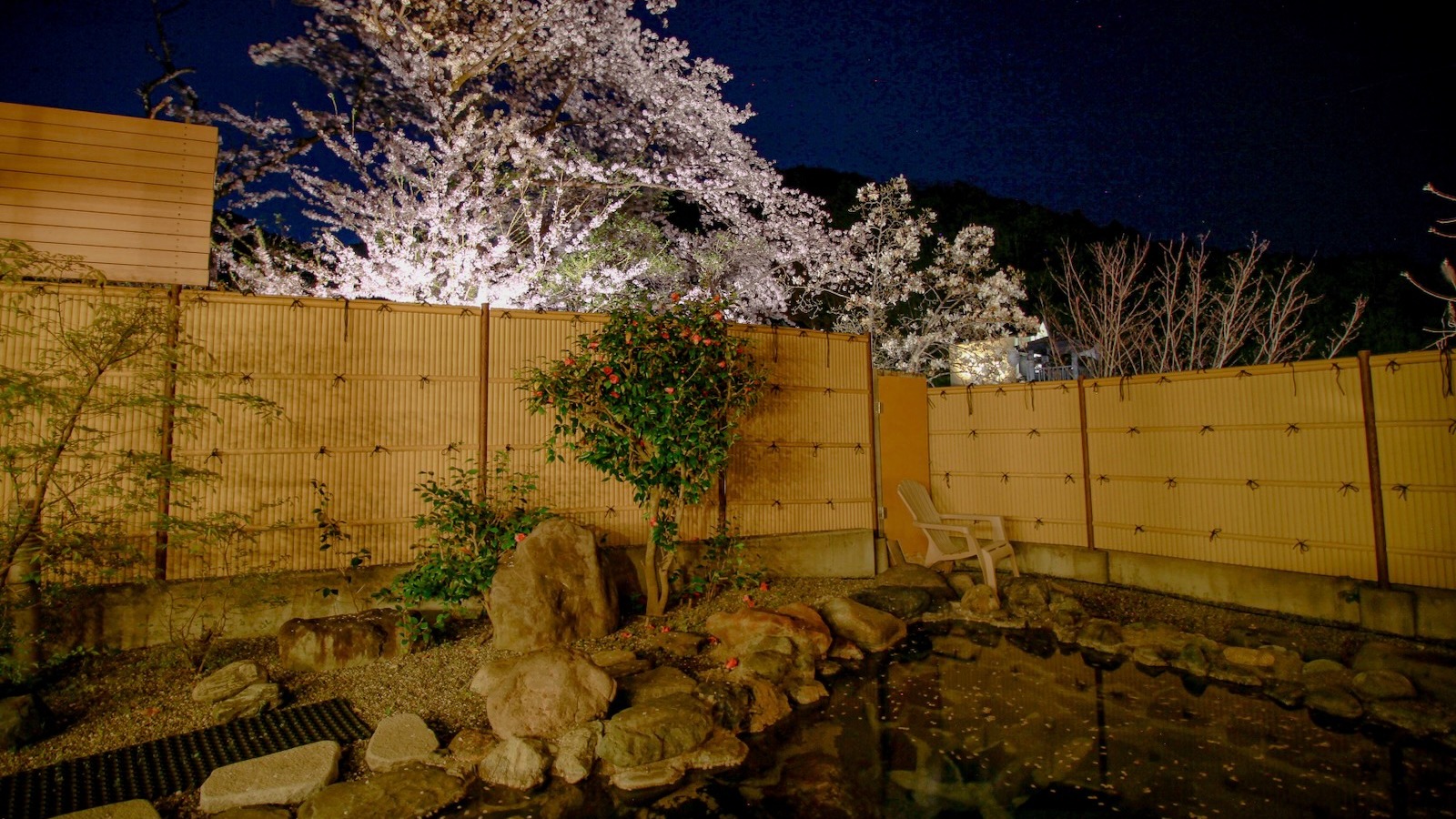 夜桜の美しい女性露天風呂