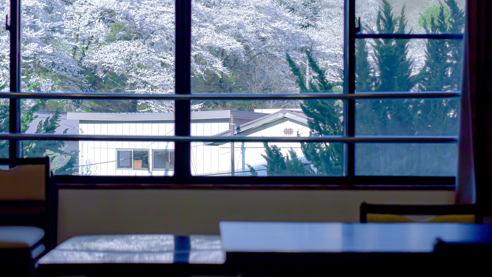 春は桜を見ながら食事をできる場所もございます。
