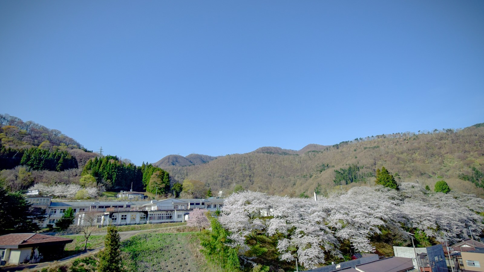 春の芦ノ牧温泉