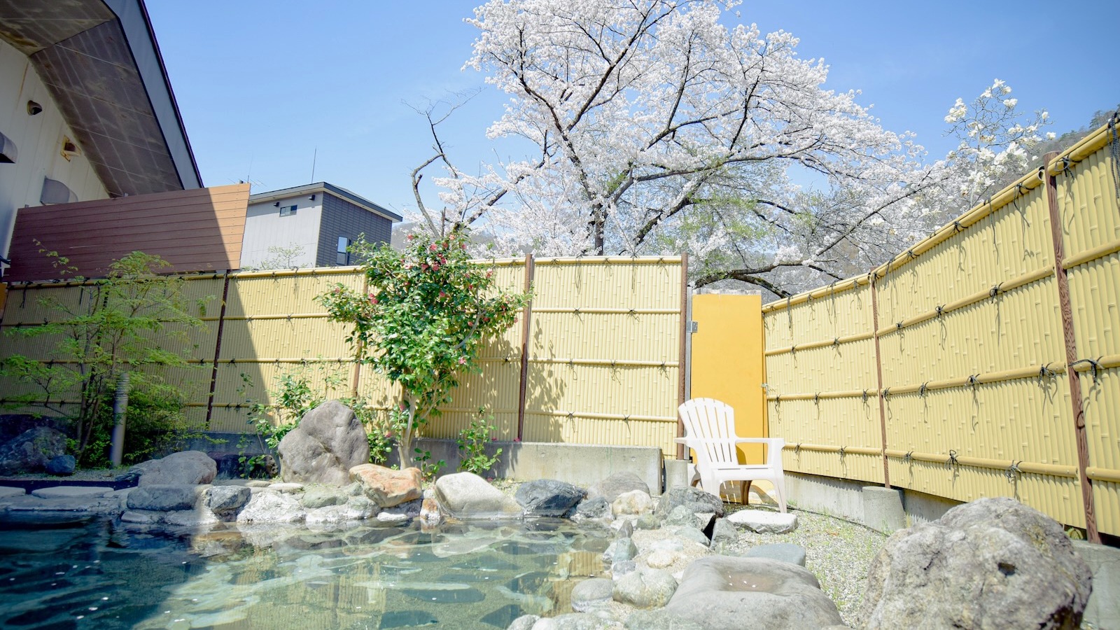 桜はもちろん女性の露天風呂からも見ることができます！