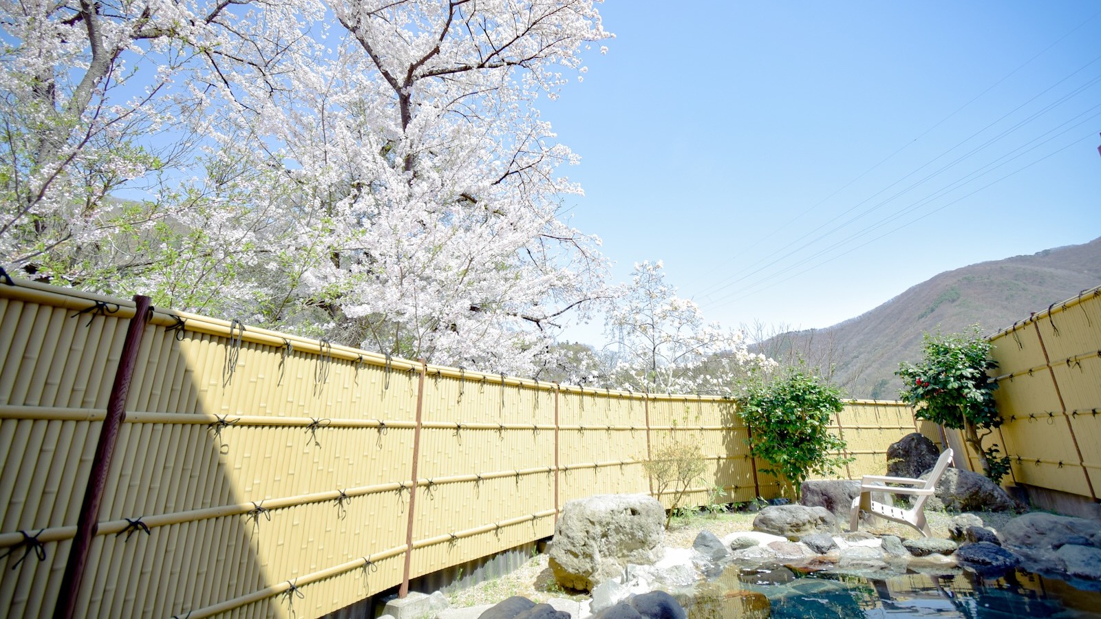 開放的な男性露天風呂。春は花見を楽しめます。