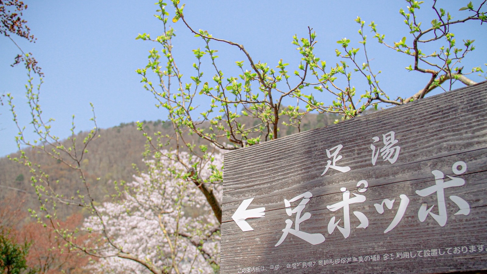 近くには足湯もございます