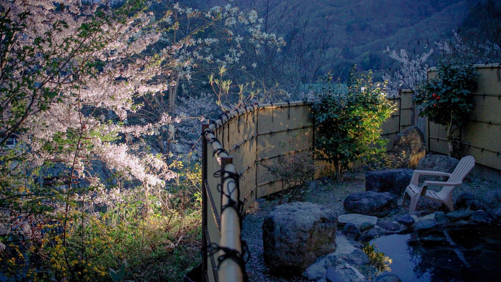トワイライトの桜が幻想的な男性露天風呂