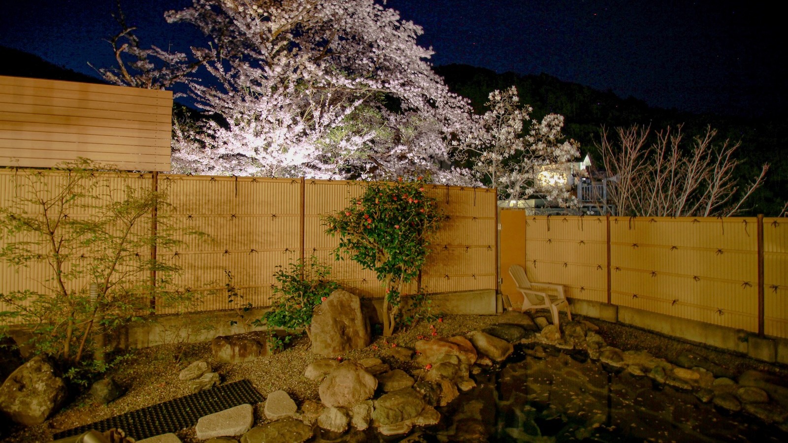 夜桜を楽しむ（女性露天風呂）