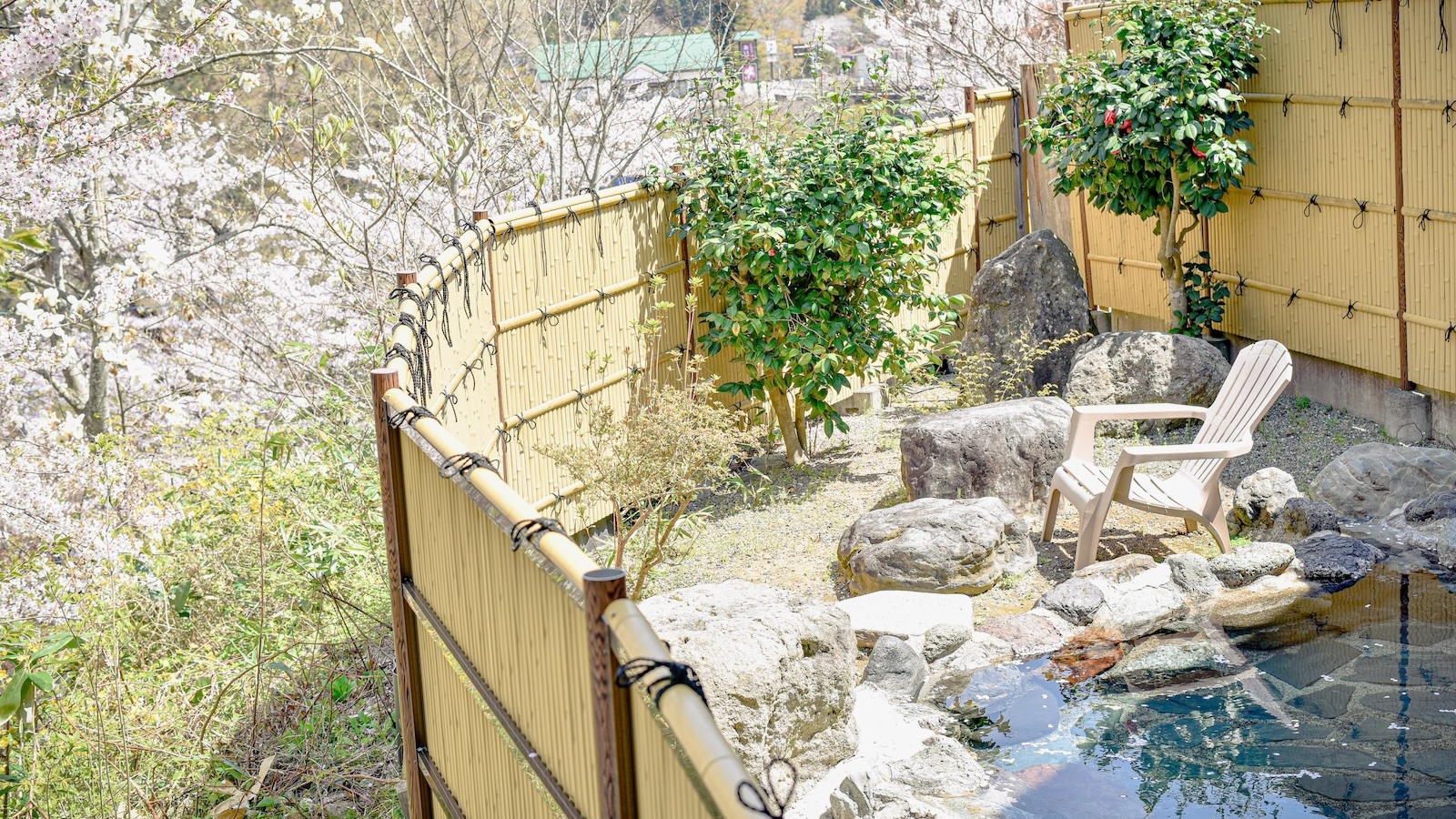 桜満開の露天風呂
