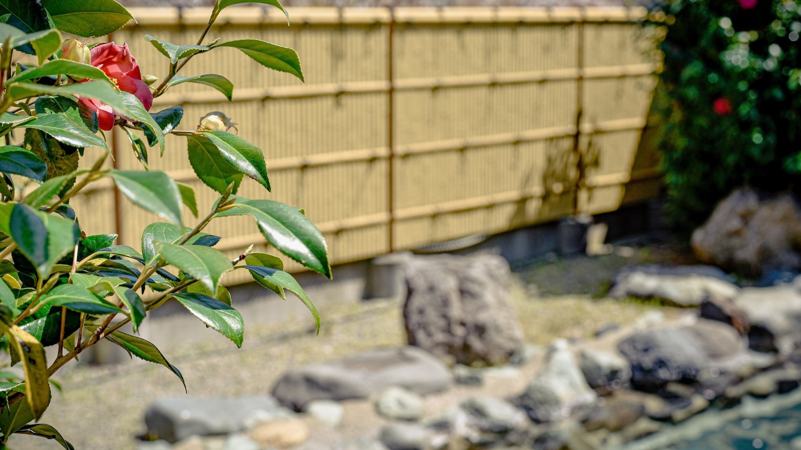 女性風呂露天：花も咲き目でも楽しめる温泉でゆったりとした時間を。