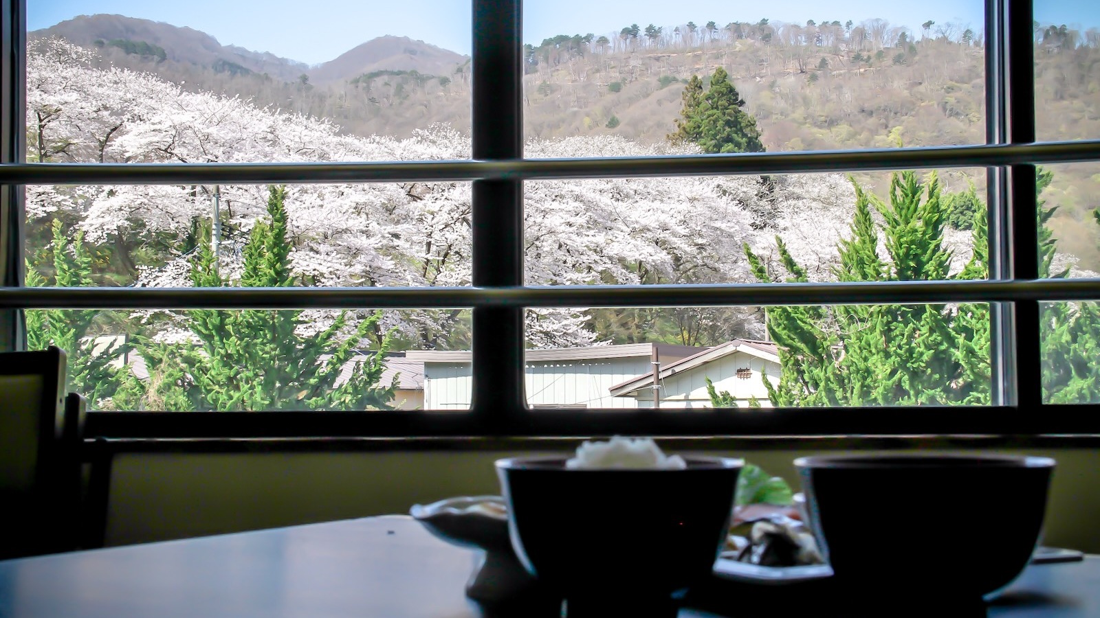 美しい桜の景色の眺めながらの朝食