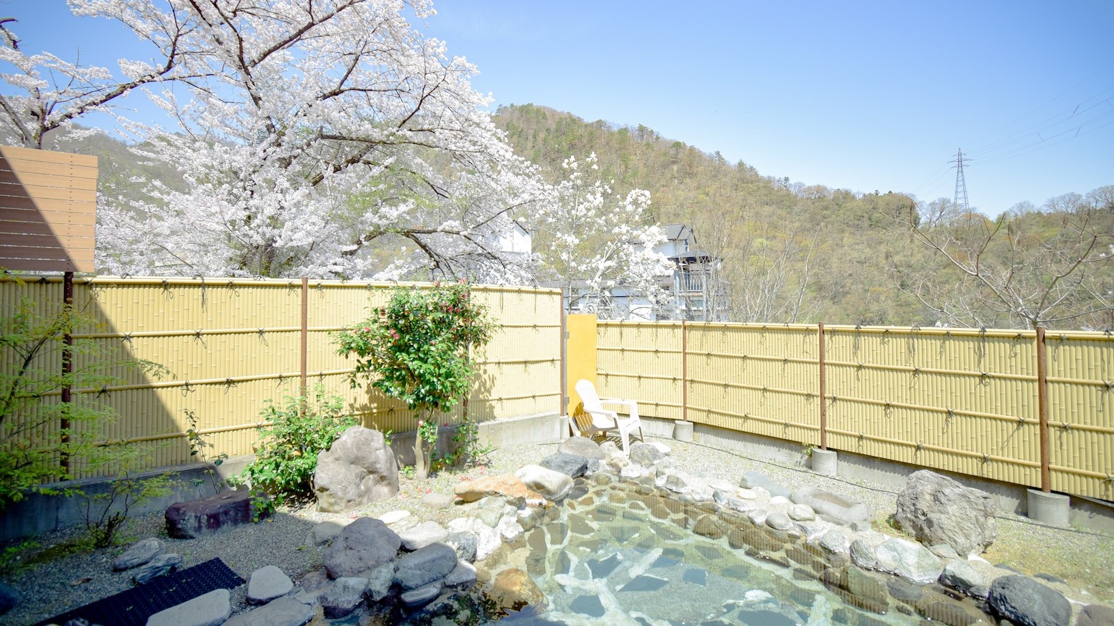 桜はもちろん女性の露天風呂からも見ることができます！