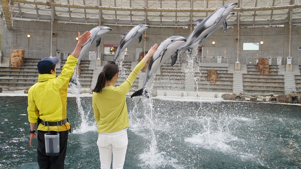 【城崎マリンワールド入場券プレゼント】＜潮騒の膳＞お子様１泊２食9900円！満喫プラン2026