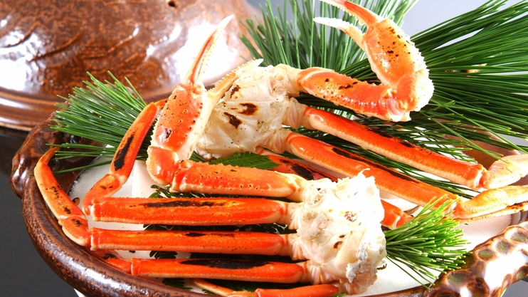 【地物タグ付き★茹で松葉がに姿１匹付き】やっぱり食べたい松葉ガニ★2025