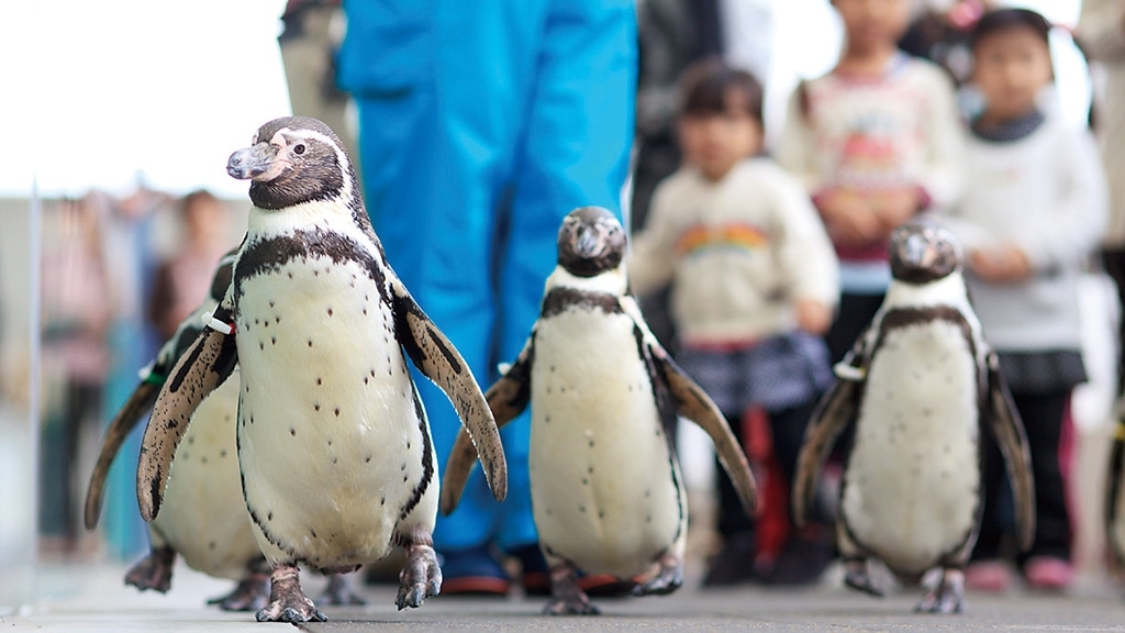 【5％OFF】【楽天スーパーSALE】夕食なし！宿泊と朝食のみのＢ＆Ｂ★マリンワールド半額券付き