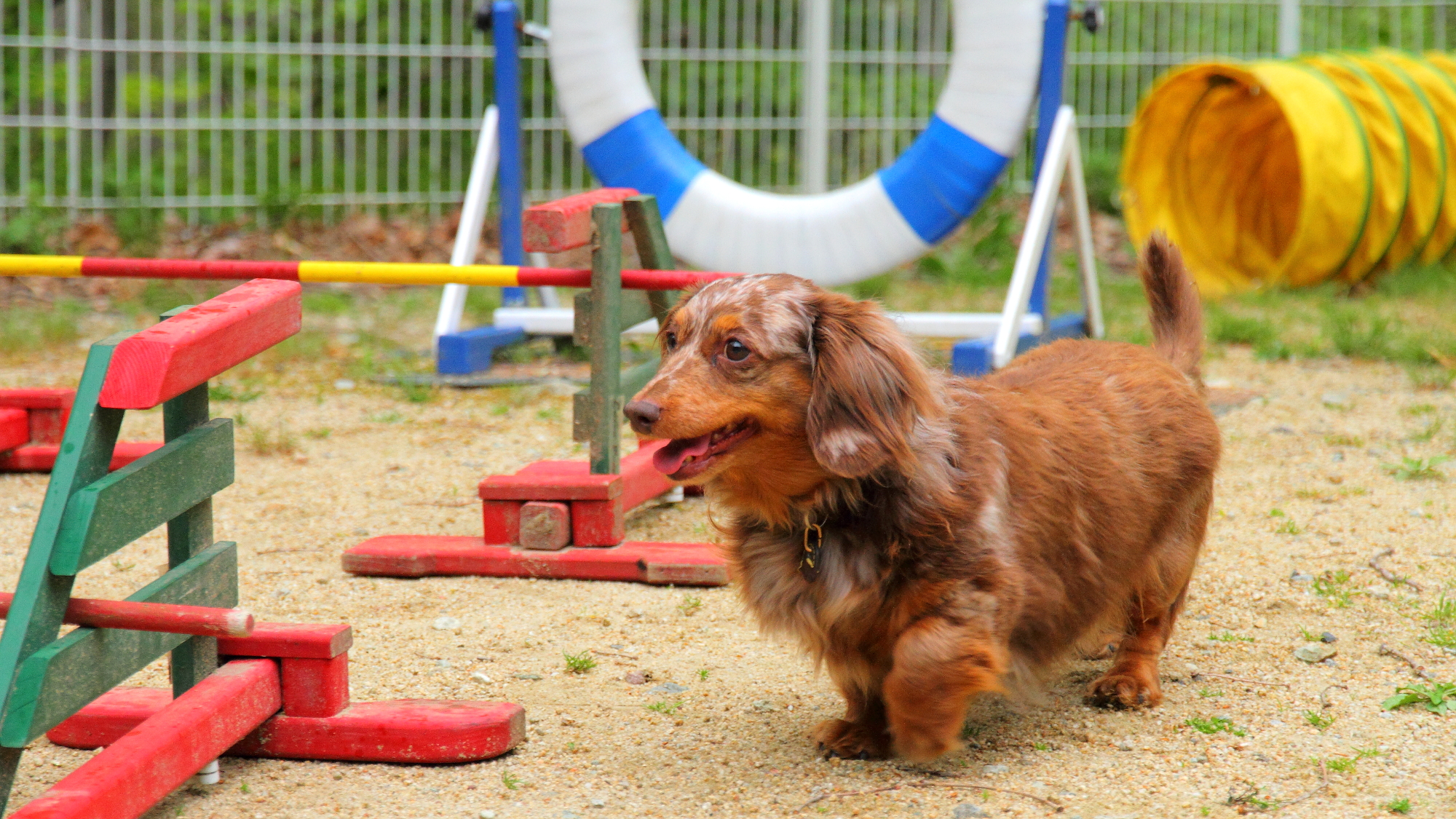 プチホテル アニマーレ プレミアム 設備 アメニティ 基本情報 楽天トラベル プチホテル アニマーレ プレミアム 設備 アメニティ 基本情報 楽天トラベル