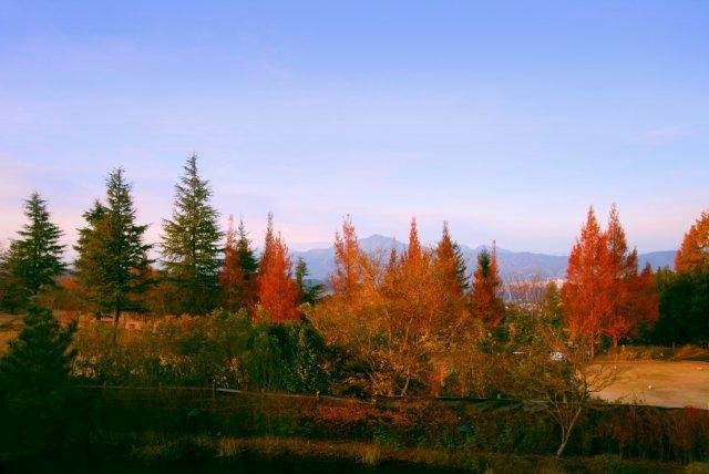 とろける旨さ【国産牛】をしゃぶしゃぶで