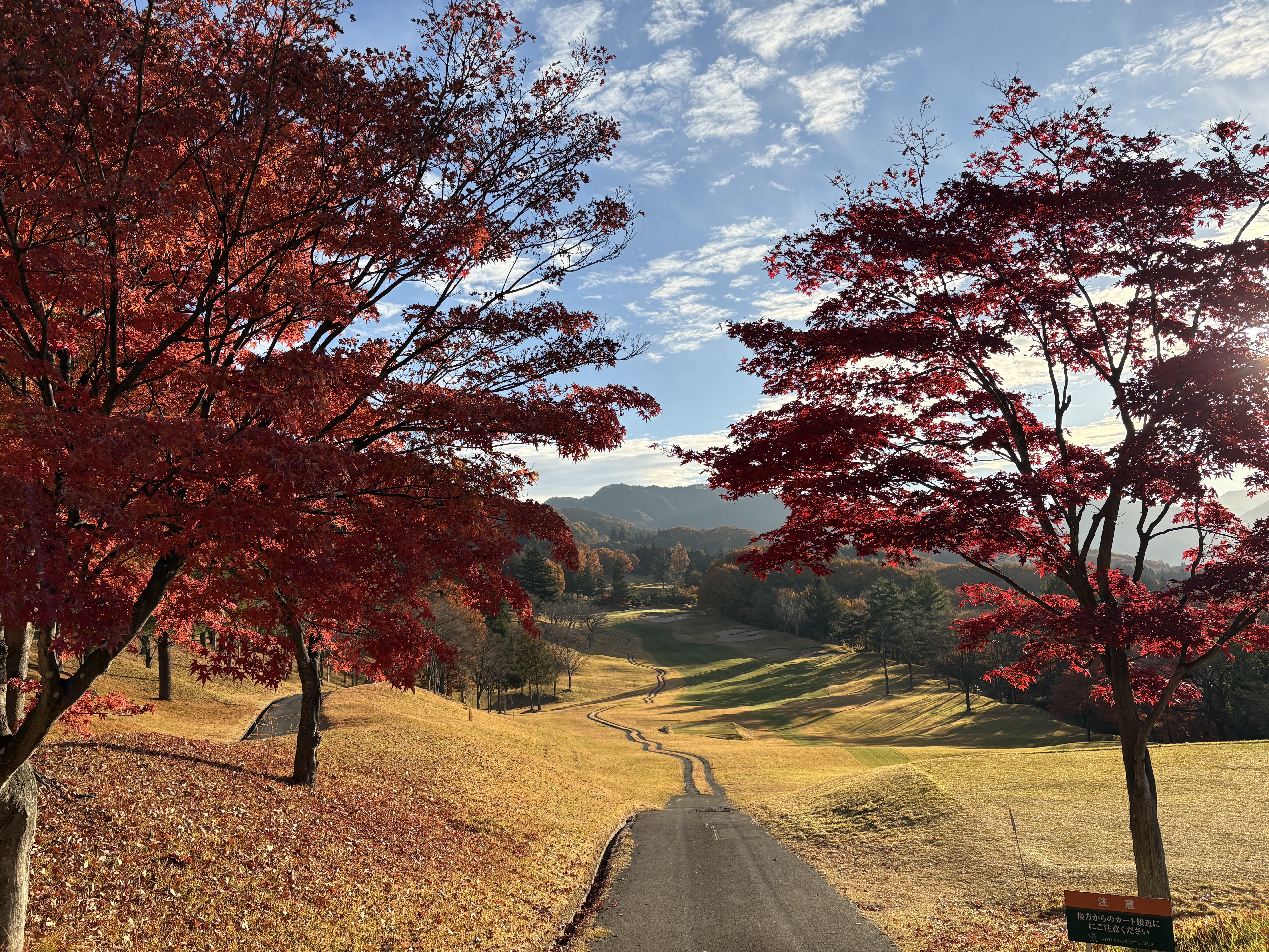 初穂カントリークラブ10番・紅葉