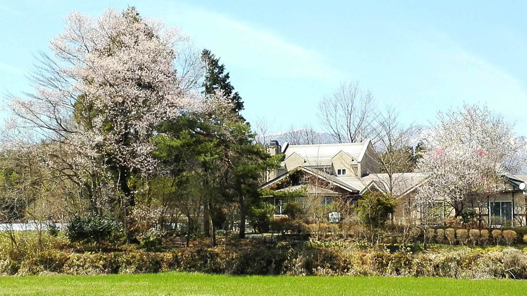 ・春の外観～桜と花ももに彩られて～