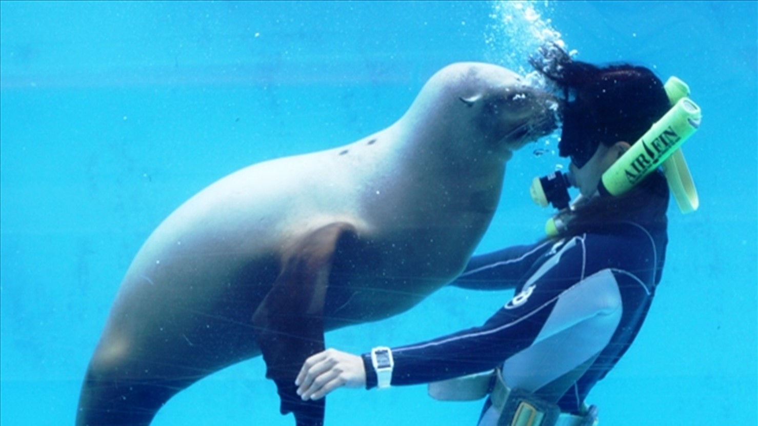 下田海中水族館