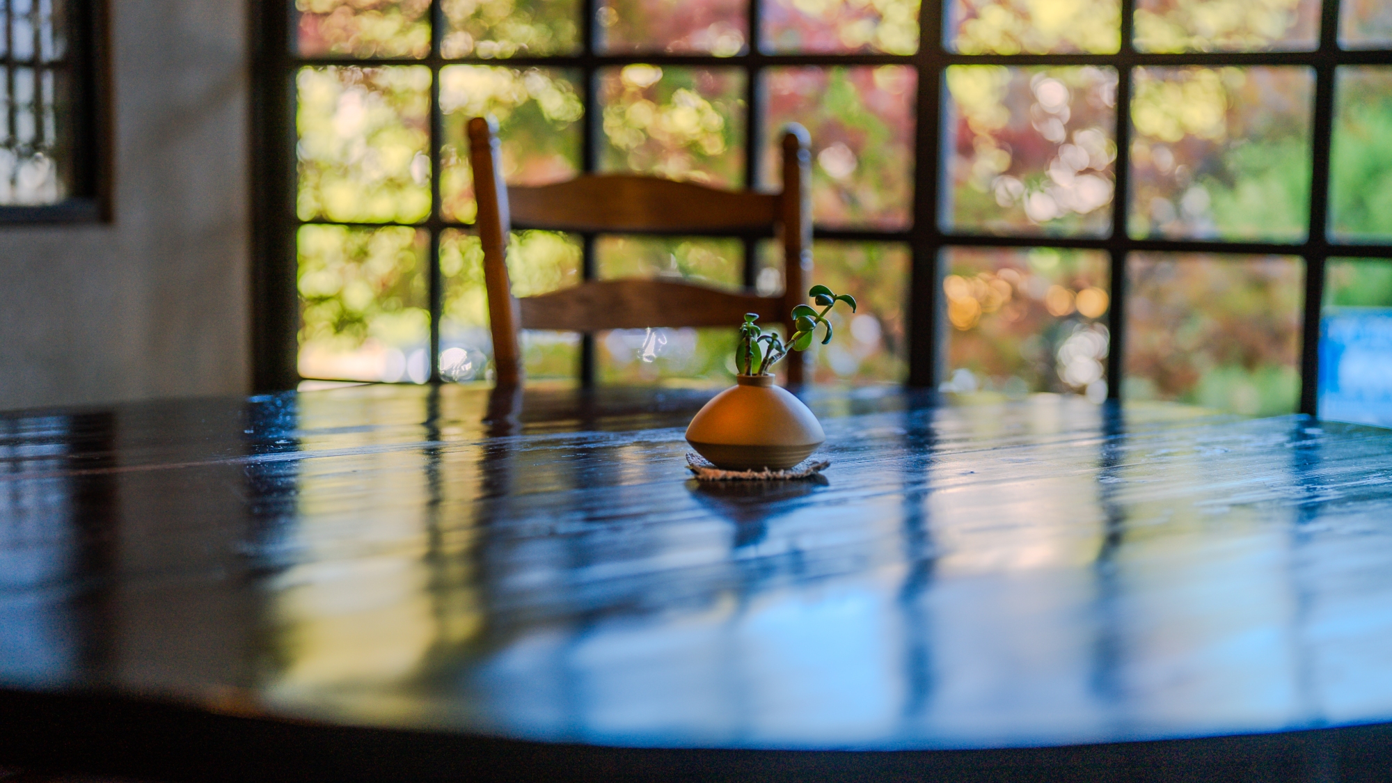 心ほどける、湯上りのひと休み。