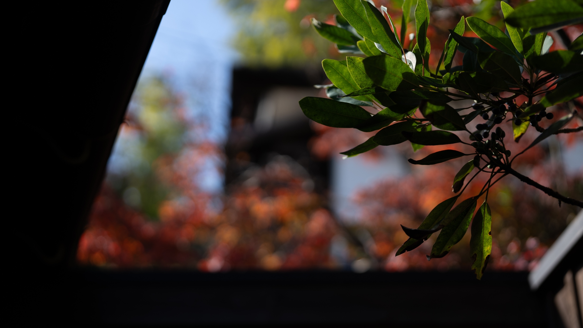 季節ごとに表情を変える、露天風呂の景色