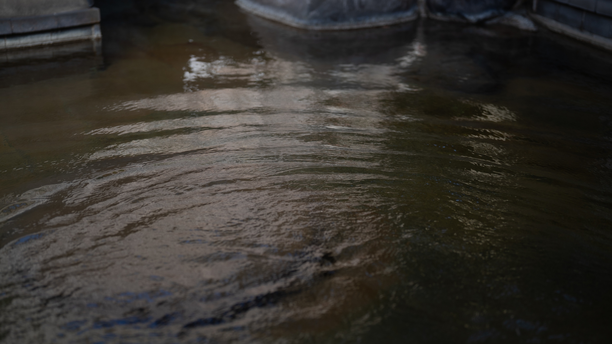 水面のさざめきが誘う静かなひととき