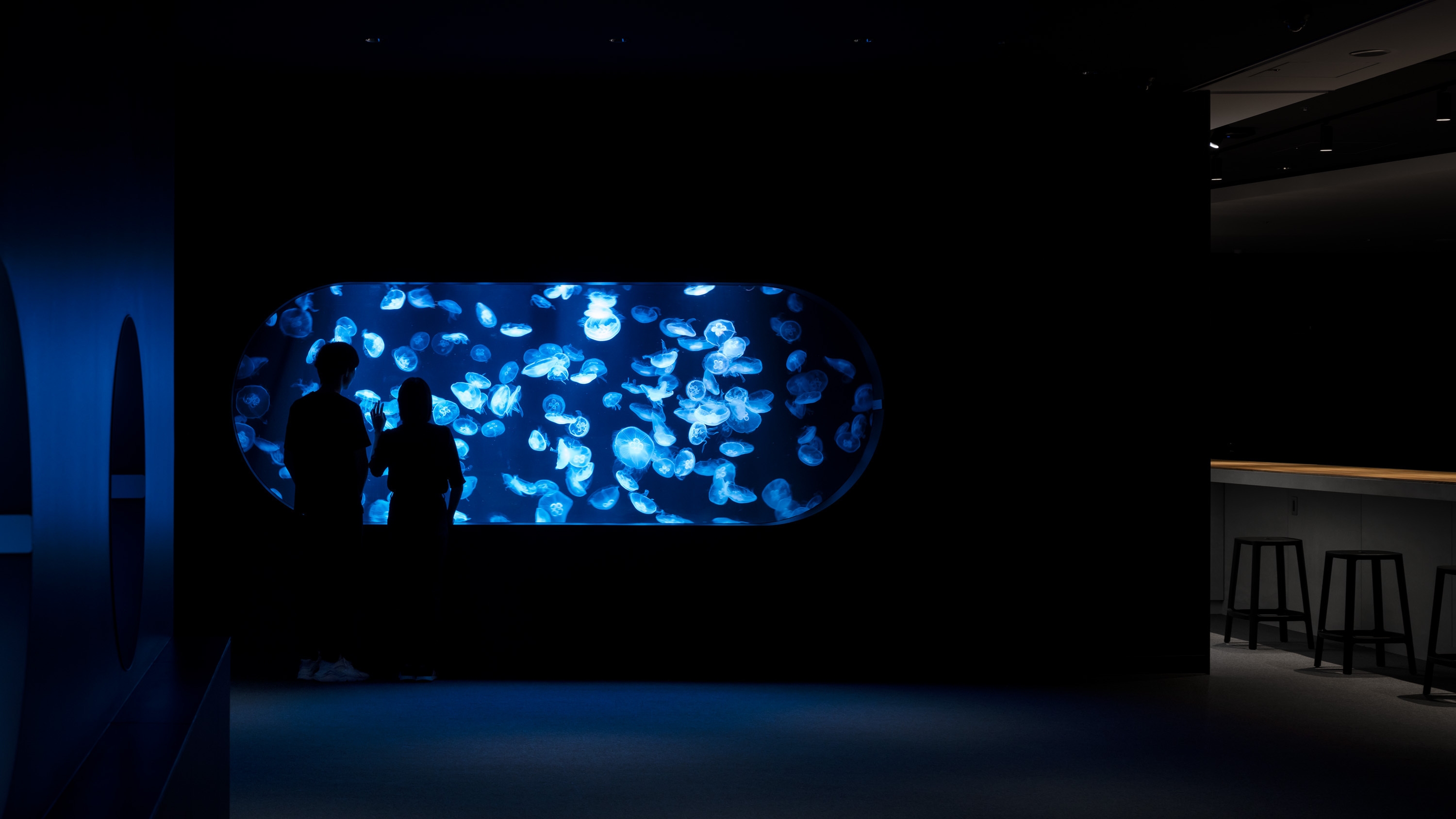 【AOAO SAPPORO入館チケット付き／食事なし】ペンギンに会えるマチナカ水族館◎