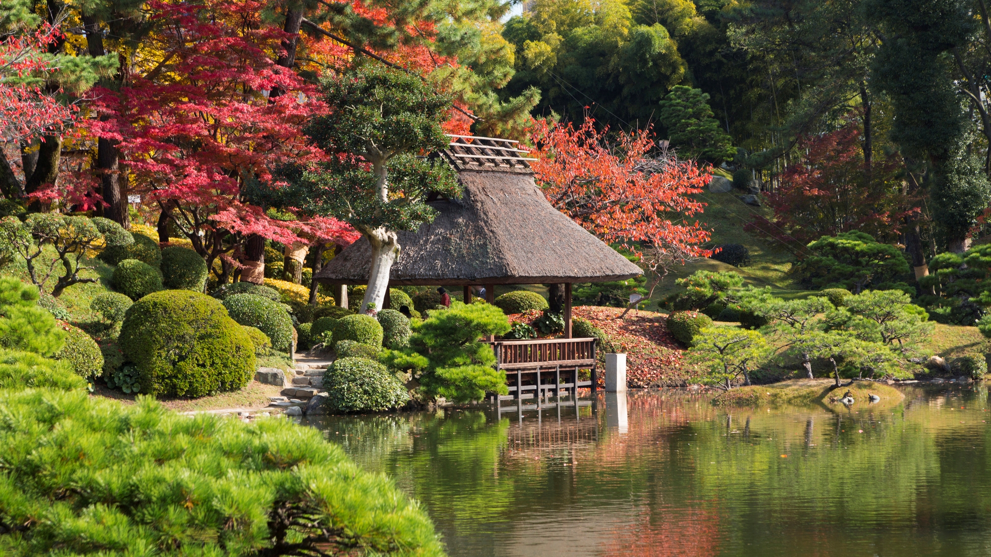 【当館から徒歩約21分】広島藩主が作った大名庭園で、風情ある景色を楽しめる「縮景園」