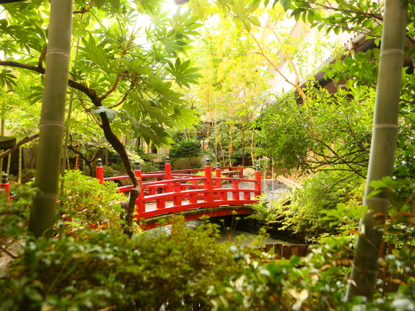 写真1
