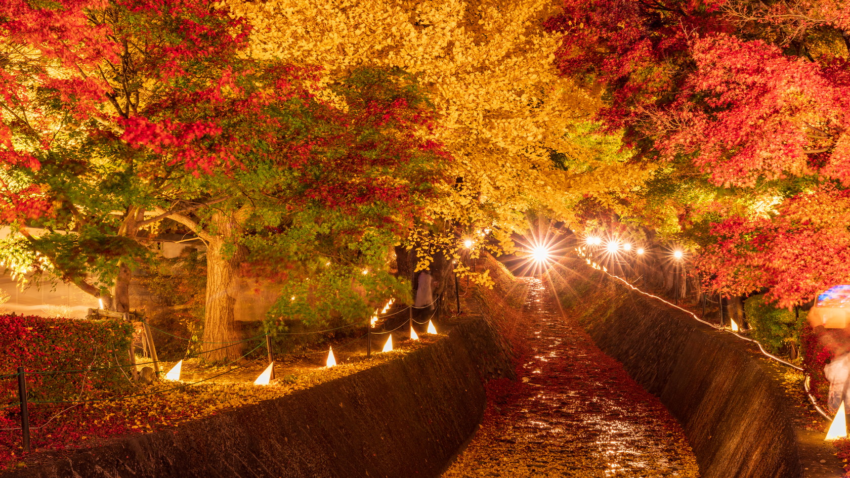 河口湖の美しい紅葉