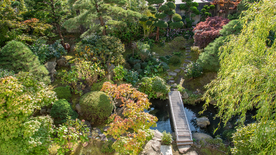 *【庭園側和室10畳からの眺望】純和風のお部屋に日本庭園の緑が映えます。