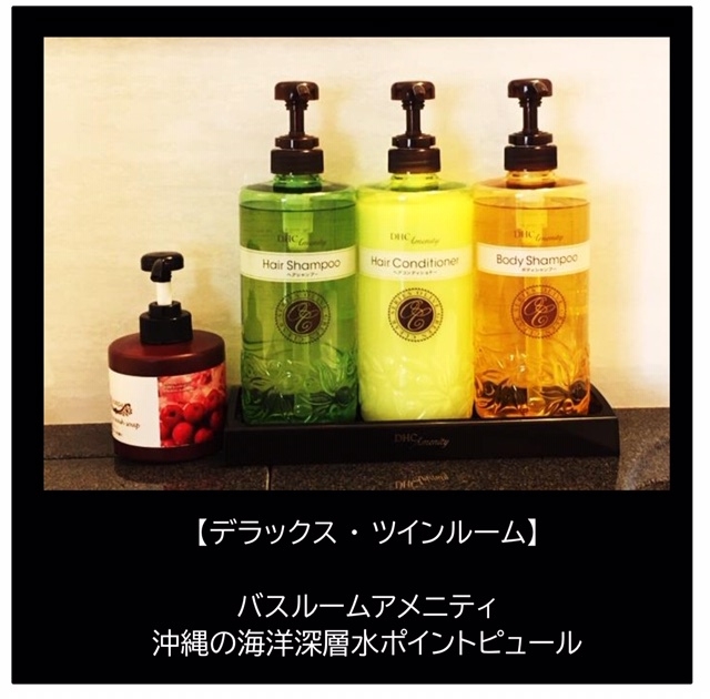 素泊まり＜デラックスルーム〉