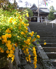 西国２８番札所　成相寺