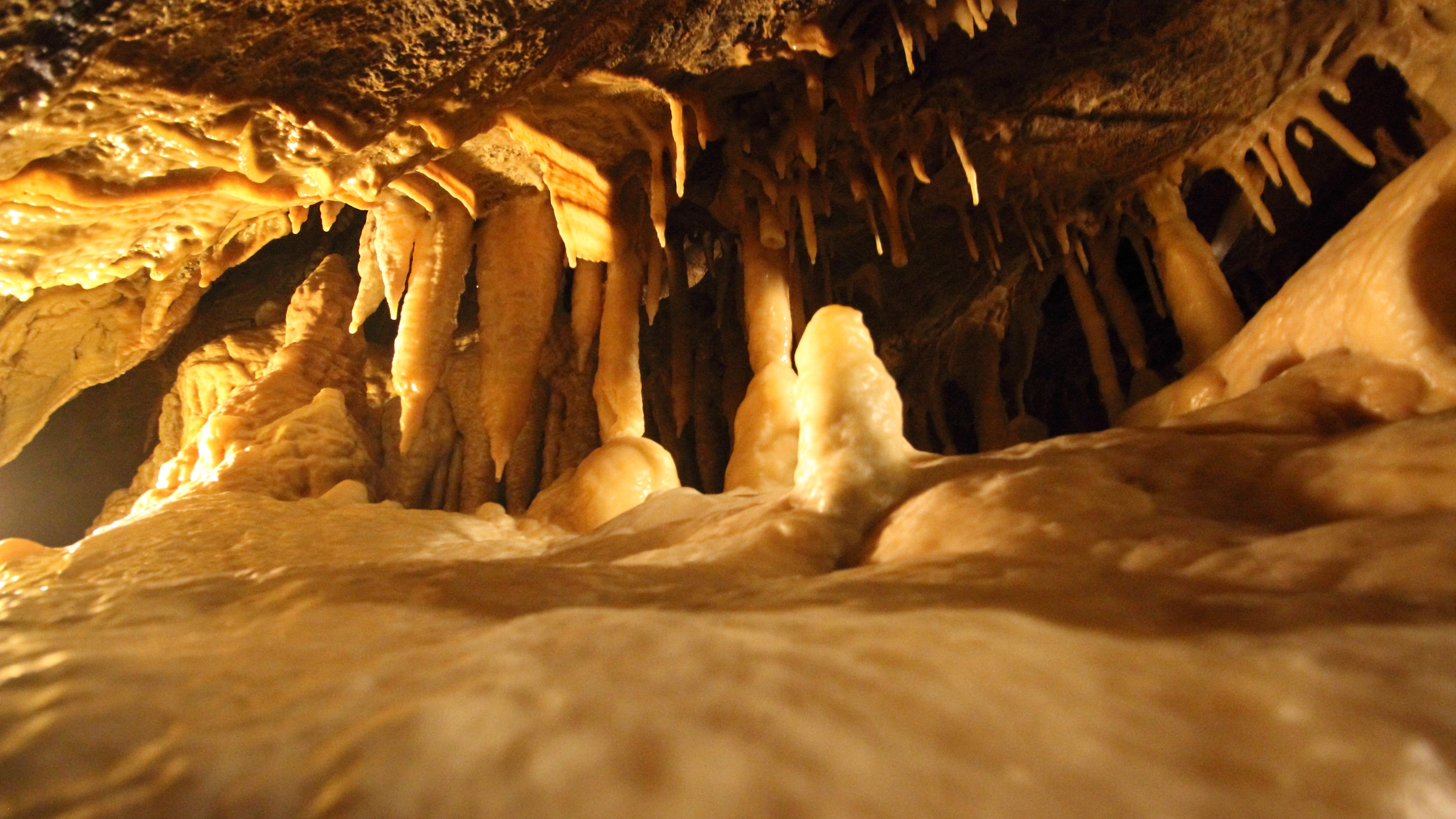 《幽玄洞(ゆうげんどう)》日本最古の鍾乳洞