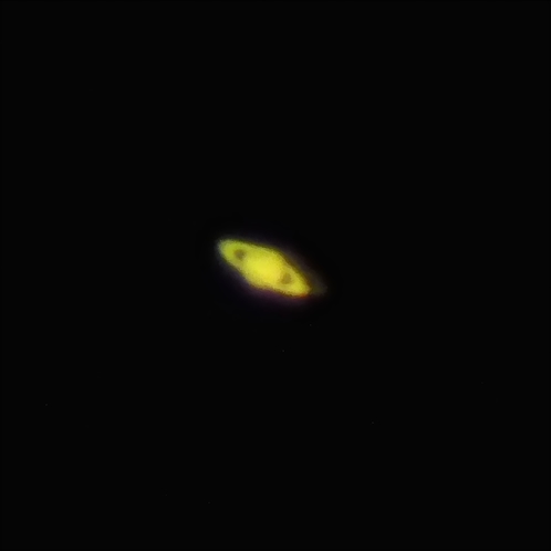 望遠鏡で見る土星