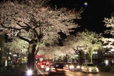 ホテル日立ヒルズ（BBHホテルグループ） - 写真 92