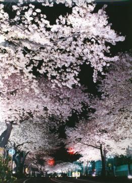 ホテル日立ヒルズ（BBHホテルグループ） - 写真 93