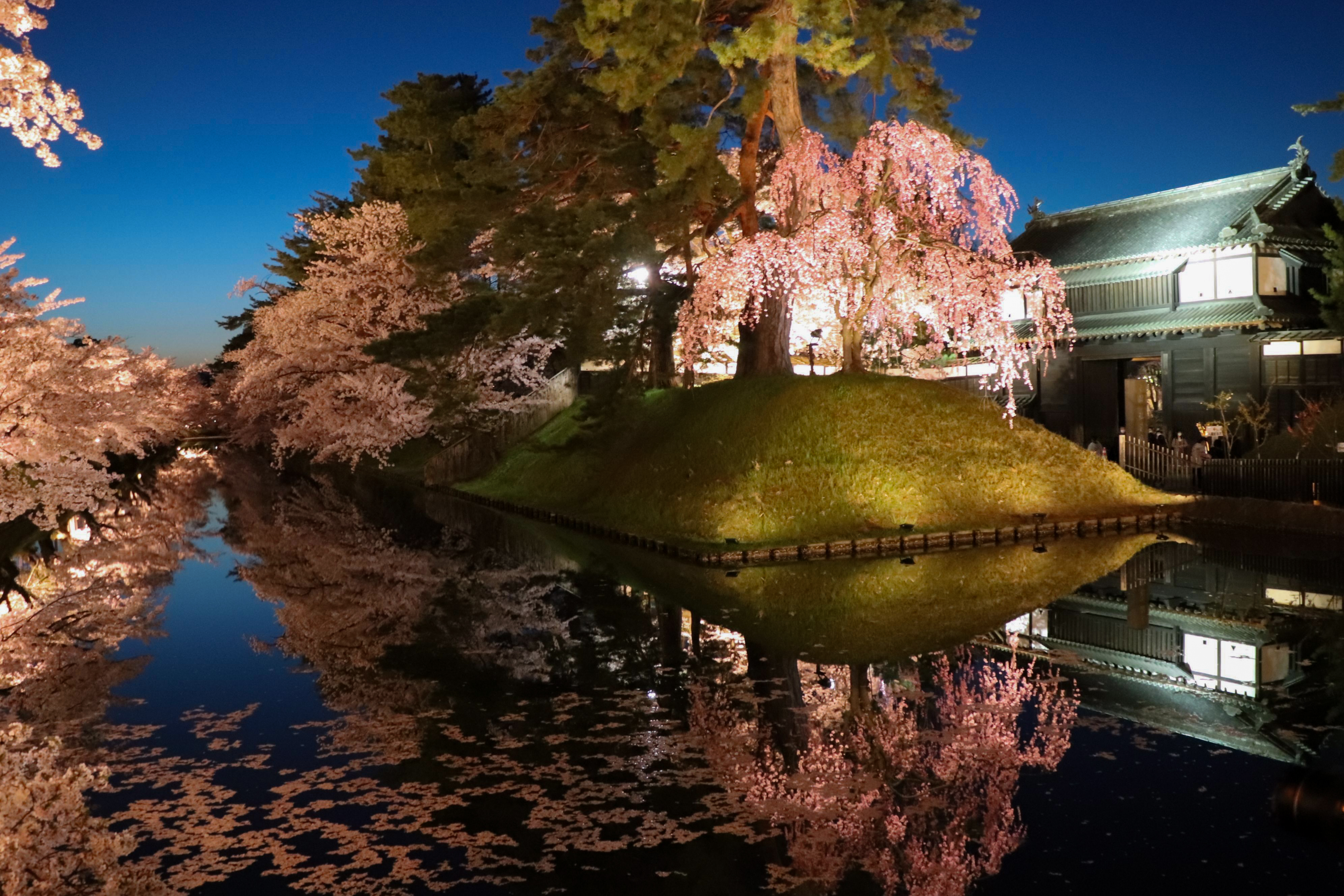 【弘前市観光名所】弘前公園(桜祭り)