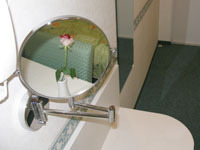 Magnifying glass