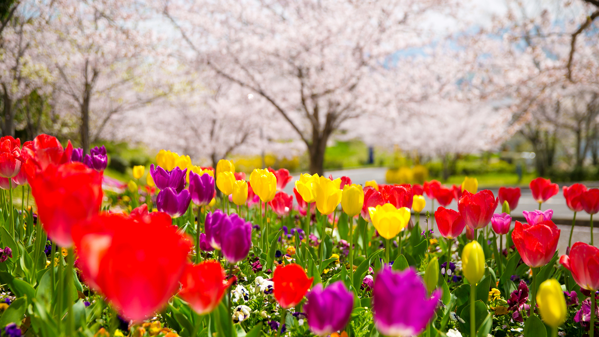 花樹海別館 トレスタ白山 設備 アメニティ 基本情報 楽天トラベル