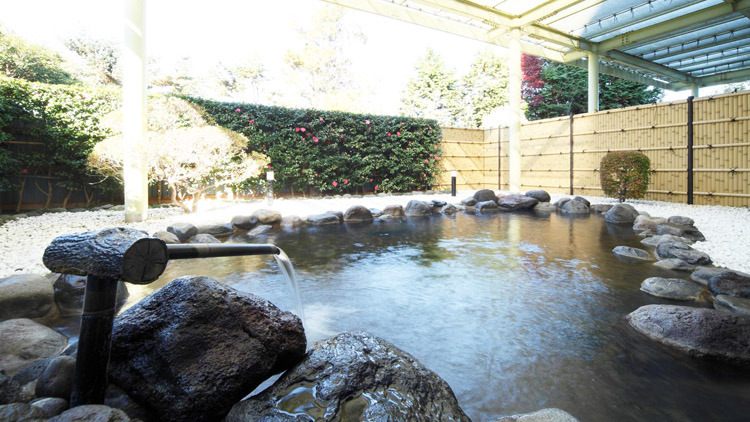 乃木温泉ホテル つるつるすべすべ美人の湯 楽天トラベル