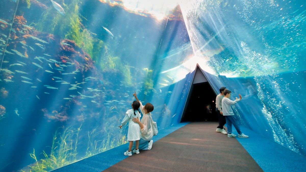 【約800種の生物と出会える人気の水族館♪】アクアマリンふくしま入館券付プラン＜夕朝食付＞
