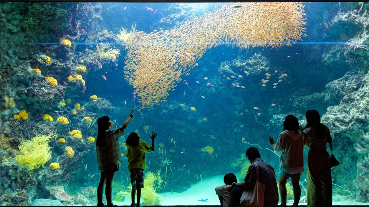 【約800種の生物と出会える人気の水族館♪】アクアマリンふくしま入館券付プラン＜夕朝食付＞